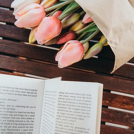 Double With Magnificant Sea View * Hvar Town